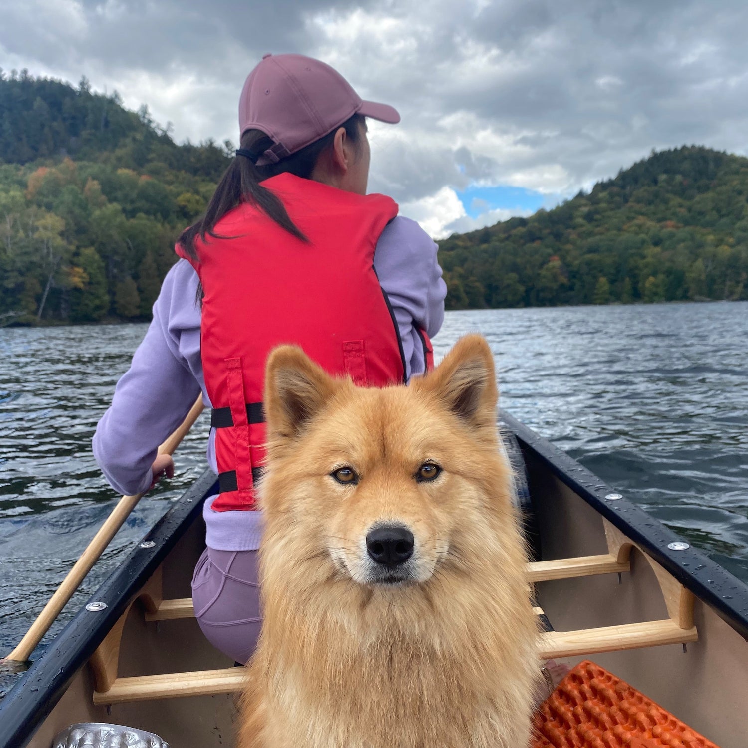 A woman paddles a lake canoe with her dog at the bow, capturing a serene lake canoeing experience and appealing to those searching for canoes for sale.